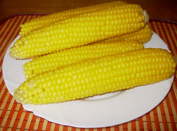 Как варить кукурузу. ответы на часто задаваемые вопросы