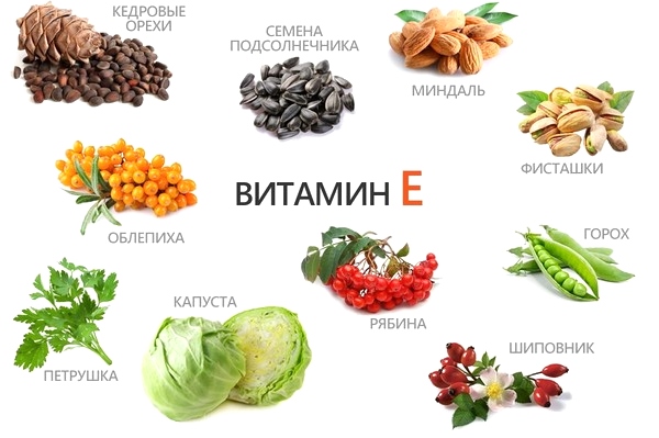  каких продуктах витамин E содержится в большом количестве