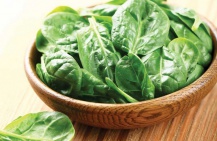 Шпинат – полезный листовой овощ для здорового питания