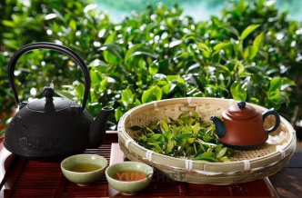Гид по китайским чаям: группы и их уникальные характеристики